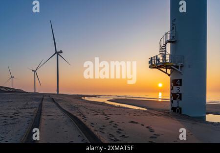 Parco eolico ENECO sulla diga intorno al porto Maasvlakte 2, 22 turbine eoliche con una capacità di 116 megawatt, tramonto, Rotterdam, Paesi Bassi Foto Stock