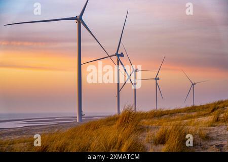 Parco eolico ENECO sulla diga intorno al porto Maasvlakte 2, 22 turbine eoliche con una capacità di 116 megawatt, tramonto, Rotterdam, Paesi Bassi Foto Stock