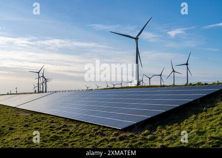 Parco solare sulla diga Slaperdijk vicino a Eemshaven, progetto di prova, 17, 000 moduli solari sono stati installati su un buon 5 chilometri, Paesi Bassi Foto Stock