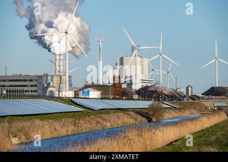 Parco solare sulla diga Slaperdijk vicino a Eemshaven, progetto di prova, 17, 000 moduli solari sono stati installati su un buon 5 chilometri, Paesi Bassi Foto Stock