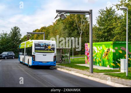 Autobus elettrico da Stadtwerke Muenster, presso una stazione di ricarica veloce, fermata dell'autobus, inversione di marcia dell'autobus Dieckmannstrasse a Muenster Gievenbeck, 16 elettrico Foto Stock