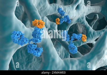 Terapia con anticorpi monoclonali nell'osteoporosi - Vista ravvicinata illustrazione 3d. Foto Stock