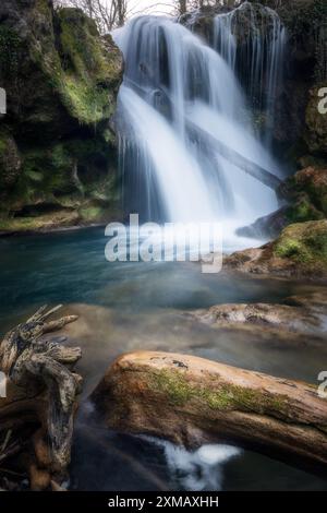 Cascate della Romania che non si trovano a cascata tra gli alberi caduti, il parco nazionale, il paesaggio fluviale, una splendida destinazione Foto Stock