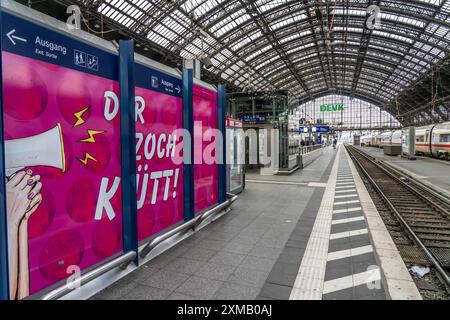 Sciopero di tre giorni da parte dell'unione ferroviaria GDL, circolano solo pochissimi treni locali e a lunga percorrenza, svuotando la stazione centrale di Colonia, che altrimenti è piena Foto Stock