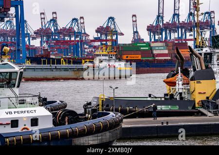 Porto di Amburgo, HHLA Container Terminal Burchardkai, Athabaskakai, sull'Elba, nave portacontainer Elbsky, porto rimorchiatore presso il nuovo ponte rimorchiatore Foto Stock