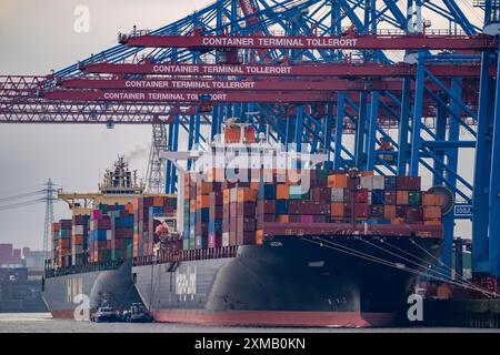 Terminal container Tollerort, le navi container sono caricate e scaricate, uno dei 4 terminal container nel porto di Amburgo, Amburgo, Germania Foto Stock