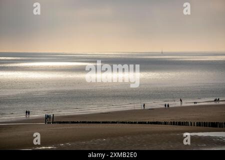 Atmosfera serale sulla spiaggia del Mare del Nord vicino a Zoutelande, Zelanda, pescatori, escursionisti, frangiflutti, paesi Bassi Foto Stock