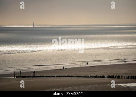 Atmosfera serale sulla spiaggia del Mare del Nord vicino a Zoutelande, Zelanda, pescatori, escursionisti, frangiflutti, paesi Bassi Foto Stock