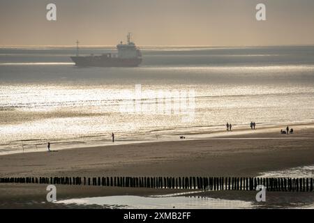 Atmosfera serale presso la spiaggia del Mare del Nord vicino a Zoutelande, Zelanda, pescatore, camminatore, frangiflutti, nave da carico, Paesi Bassi Foto Stock