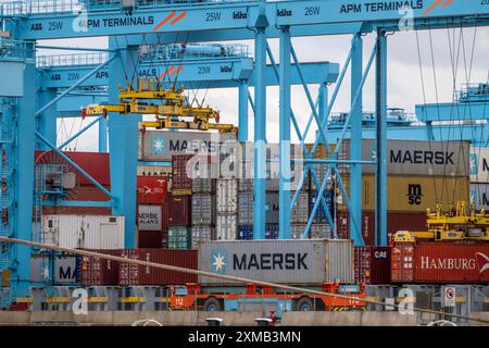 APM Container Terminal, trasporto autonomo di container presso la banchina, porto marittimo di Rotterdam, porto di alto mare Maasvlakte 2, su un'area terrestre artificiale Foto Stock