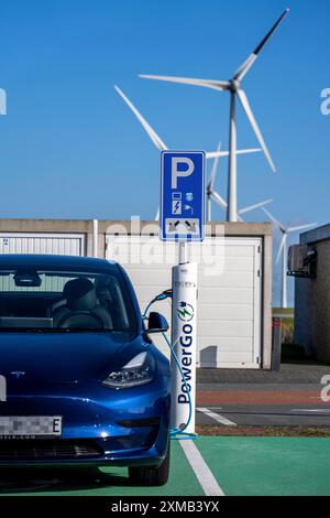 Stazione di ricarica rapida per auto elettriche, dal fornitore olandese PowerGo, nel porto dei traghetti di Eemshaven, alimentata da energia rinnovabile, Paesi Bassi Foto Stock