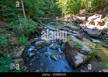 Le cascate di Irrel, rapide nel corso inferiore del Pruem tra Pruemzurlay e Irrel, nel distretto Eifel di Bitburg-Pruem Foto Stock