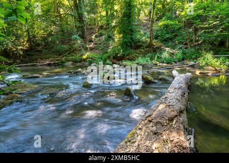 Le cascate di Irrel, rapide nel corso inferiore del Pruem tra Pruemzurlay e Irrel, nel distretto Eifel di Bitburg-Pruem Foto Stock
