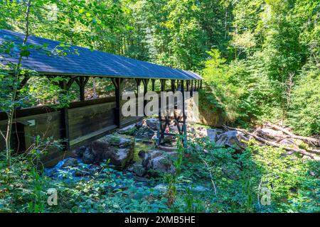 Le cascate di Irrel, rapide nel corso inferiore del Pruem tra Pruemzurlay e Irrel, nel distretto Eifel di Bitburg-Pruem Foto Stock