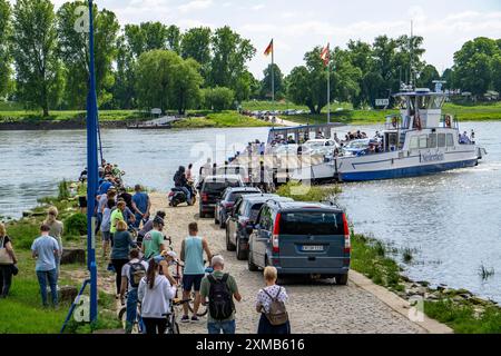 Traghetto per il Reno Urdenbach-Zons, sul Urdenbachen Kaempe, paesaggio culturale del basso Reno, Duesseldorf, Renania settentrionale-Vestfalia, Germania Foto Stock