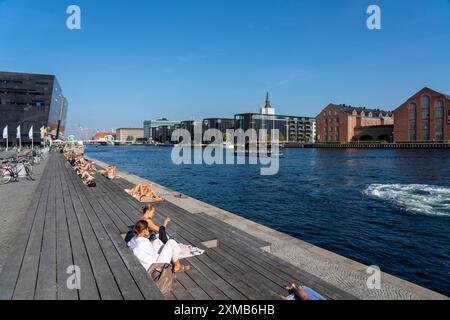 D'estate, nuotando nel porto di Copenaghen, ci sono luoghi di balneazione ufficiali, bagni del porto e lidi in molti luoghi, qui al Black Diamond Foto Stock