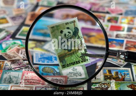 Collezione di francobolli, collezionismo, francobolli, francobolli di diversi paesi, lente di ingrandimento, francobollo con orsetto panda della Corea del Nord Foto Stock