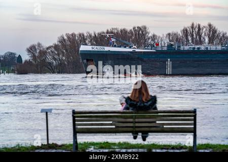 Inondazione sul Reno, sponde del Reno allagate, vecchio scalo dei traghetti, prati del Reno, vicino a Xanten, Bislicher Insel, basso Reno, nord Foto Stock