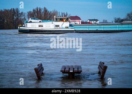 Inondazione sul Reno, sponde del Reno allagate, vecchio scalo dei traghetti, prati del Reno, vicino a Xanten, Bislicher Insel, basso Reno, nord Foto Stock