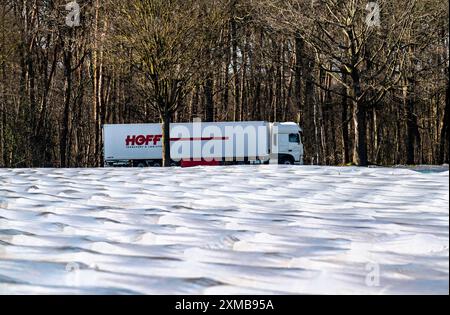 Agricoltura sul basso Reno, inizio stagione, coltivazione di asparagi in primavera, sotto tegole plastiche, tunnel di lamina, campo di asparagi, paesaggio sottostante Foto Stock