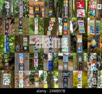 Collezione di cartelli escursionistici, sentieri escursionistici, segnaletica di escursioni, simboli del tour per lo più su alberi, cartelli, Germania Foto Stock