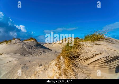 Borkum, isola, Frisia orientale, inverno, stagione, autunno, bassa Sassonia, Germania Foto Stock