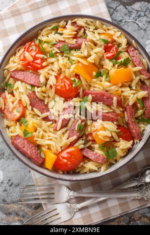 Pasta Risoni con salame fritto salsiccia e verdure stufate in primo piano in una ciotola sul tavolo. Vista dall'alto verticale Foto Stock