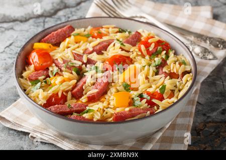 Un piatto di pasta orzo con salame fritto, salsiccia, peperone, aglio e pomodori da vicino nel recipiente sul tavolo. Orizzontale Foto Stock