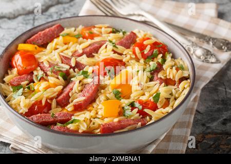 Insalata di pasta orzo calda con salame, salsiccia, peperone, aglio e pomodori da vicino in un recipiente sul tavolo. Orizzontale Foto Stock