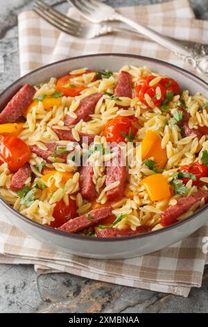 Pasta Risoni con salame, salsiccia, peperone, aglio e pomodori da vicino in una ciotola sul tavolo. Verticale Foto Stock