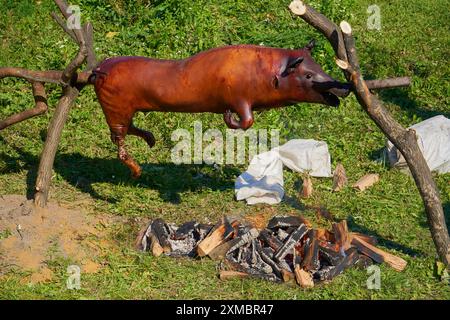 il maiale grande si sta preparando per un picnic su una griglia di legno Foto Stock