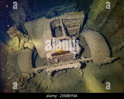 Morris Commercial CS8 Truck WW2 Truck all'interno della stiva del naufragio della nave sommersa delle SS Thistlegorm nel Mar Rosso in Egitto Foto Stock