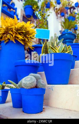 Stradina stretta con gradini, case bianche e piante in vaso blu nell'antico quartiere di Santa Cruz, nella città vecchia di Alicante, sulle colline. Costa Blanca Foto Stock