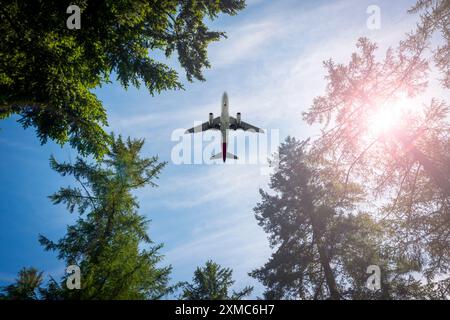 Aeroplano che vola al di sopra della foresta, vista dal basso Foto Stock