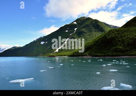 Mini ghiacciai e le montagne di Yakutat Bay, Alaska Foto Stock