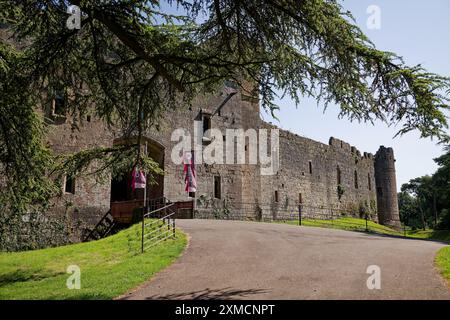 Il castello di Caldicott si crogiola al sole d'estate gallese Foto Stock