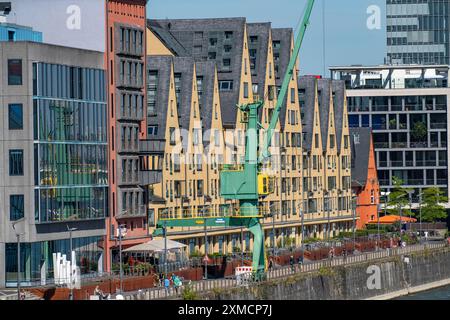 Passeggiata sul Reno, presso il vecchio porto doganale, a Colonia Sud, sul Reno, grattacieli residenziali e uffici, Colonia Nord Foto Stock