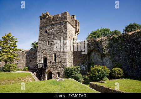 Il castello di Caldicott si crogiola al sole d'estate gallese Foto Stock