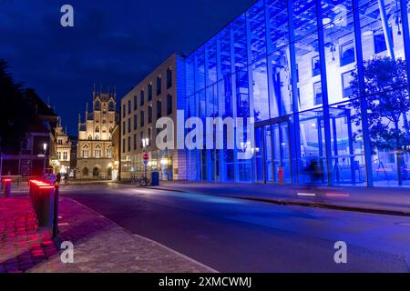 Centro storico, facciata dello storico municipio, edificio illuminato in blu del governo del quartiere di Muenster, barriera illuminata, bollards, ingresso Foto Stock