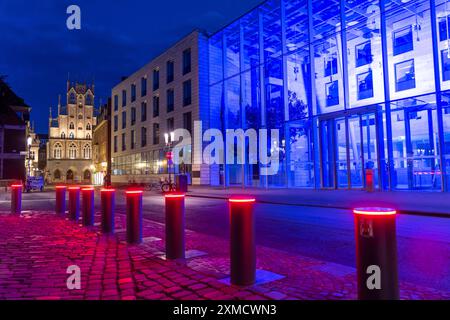 Centro storico, facciata dello storico municipio, edificio illuminato in blu del governo del quartiere di Muenster, barriera illuminata, bollards, ingresso Foto Stock