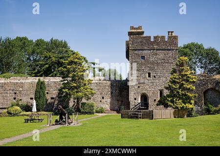 Il castello di Caldicott si crogiola al sole d'estate gallese Foto Stock