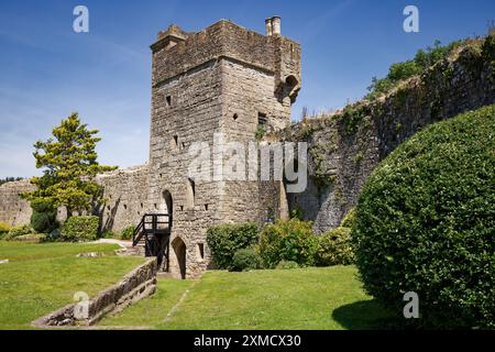 Il castello di Caldicott si crogiola al sole d'estate gallese Foto Stock