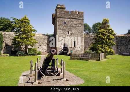 Il castello di Caldicott si crogiola al sole d'estate gallese Foto Stock