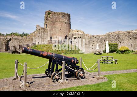 Il castello di Caldicott si crogiola al sole d'estate gallese Foto Stock