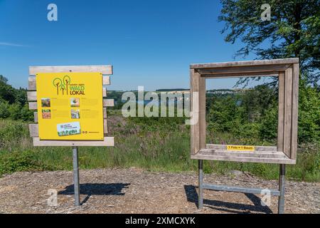 Riforestazione nella foresta di Arnsberg sopra Moehnesee, distretto di Soest, progetto forestale dei cittadini, sponsor di alberi finanziano la piantagione di centinaia di Foto Stock