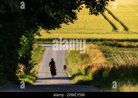 Donna che cammina con il cane, che va a fare una passeggiata Foto Stock