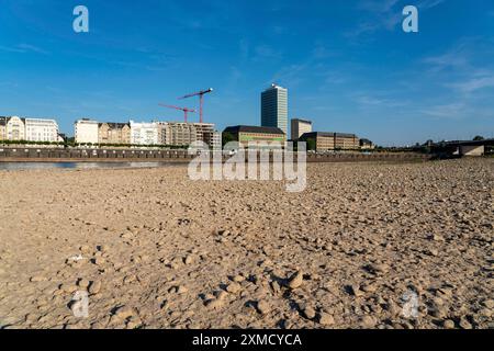 Reno vicino a Duesseldorf, acque estremamente basse, livello del Reno a 81 cm, che scende, dopo una lunga siccità, la riva sinistra del Reno è asciutta, vicino a Duesseldorf Foto Stock