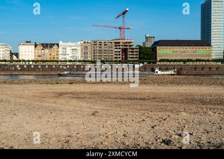 Reno vicino a Duesseldorf, acque estremamente basse, livello del Reno a 81 cm, che scende, dopo una lunga siccità, la riva sinistra del Reno è asciutta, vicino a Duesseldorf Foto Stock