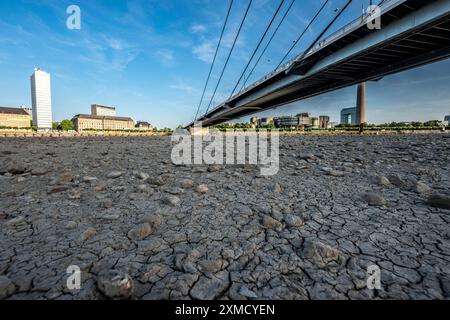 Reno vicino a Duesseldorf, acque estremamente basse, livello del Reno a 81 cm, che scende, dopo una lunga siccità, la riva sinistra del Reno è asciutta, vicino a Duesseldorf Foto Stock