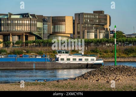 Reno vicino a Duesseldorf, acque estremamente basse, livello del Reno a 81 cm, che scende, dopo una lunga siccità, la riva sinistra del Reno è asciutta, vicino a Duesseldorf Foto Stock